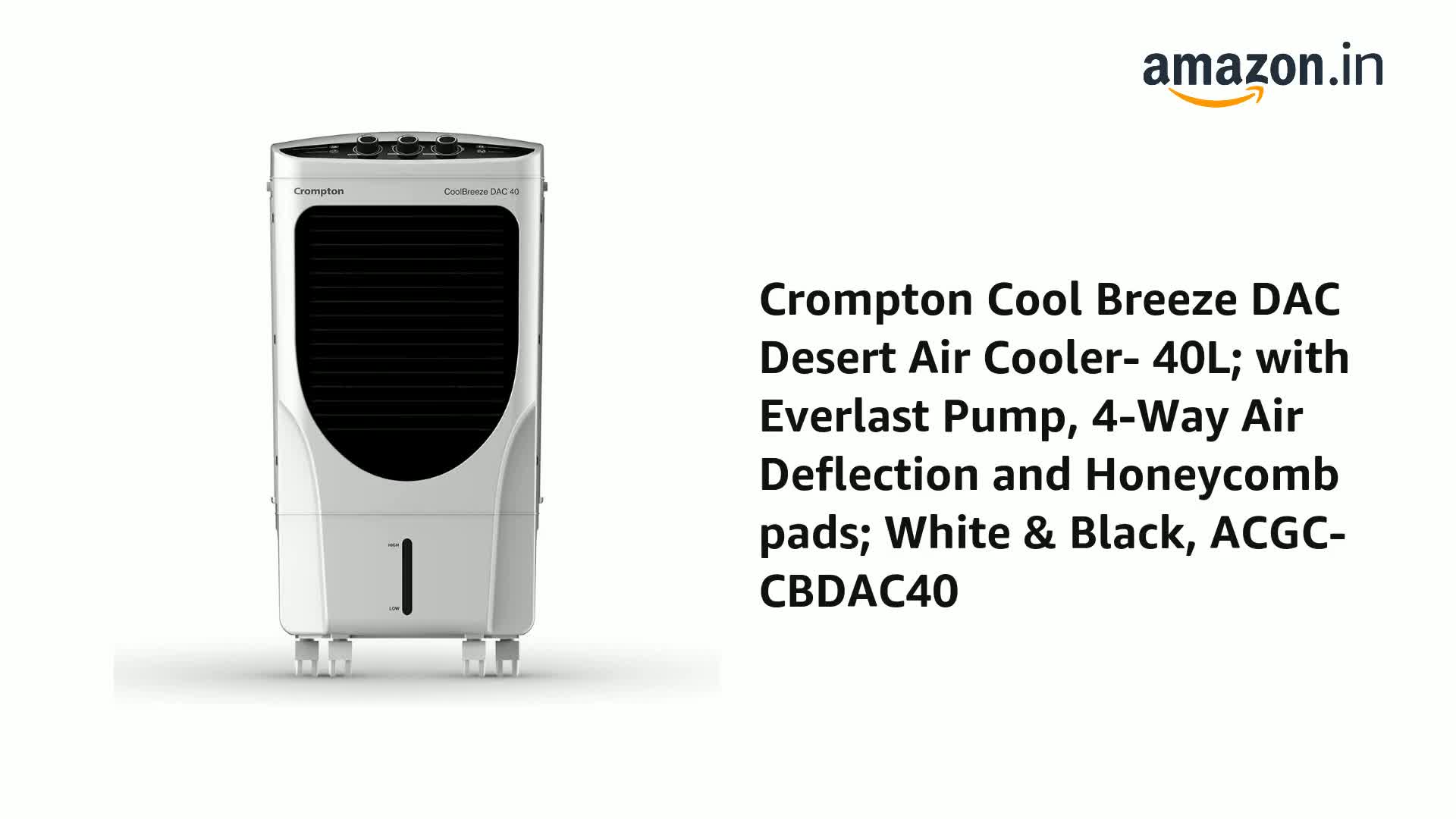 コンゴドッグ　　ティミーパターソン　THE CLAM（クラム） 楽天市場】Timmy Patterson【ティミー・パターソン】CLAM/クラム5'8